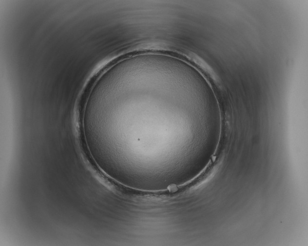 X0000111240981200907021408