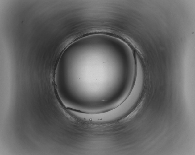 X0000111240985200907021407