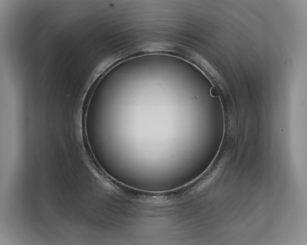 X0000111240986200907021407