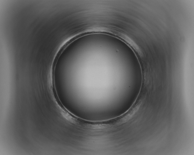 X0000111240988200907021407