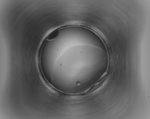 X0000111240989200907021407
