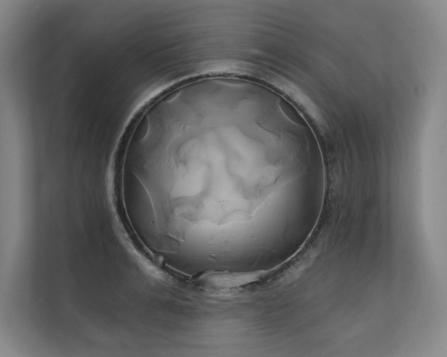 X0000111240991200907021407