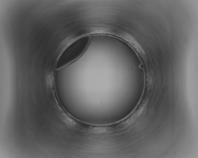 X0000111240993200907021407