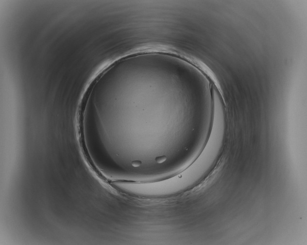 X0000111240997200907021407