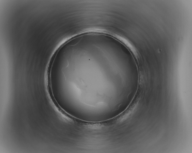 X0000111240999200907021407