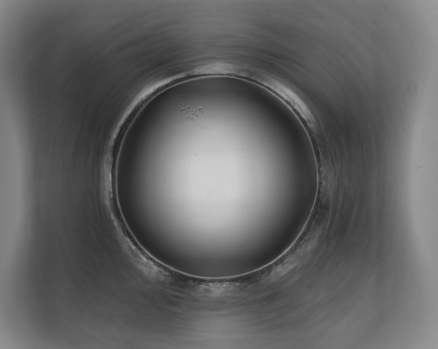 X0000111241000200907021407