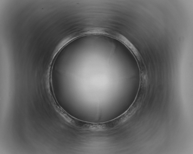 X0000111241002200907021407