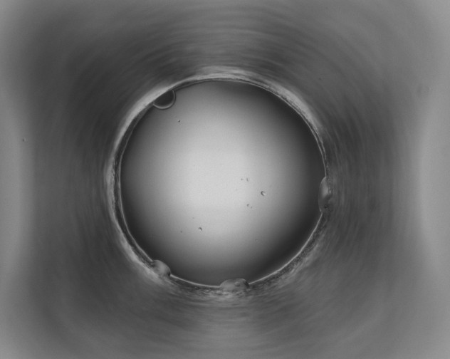 X0000111241003200907021407
