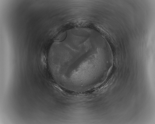 X0000111241010200907021407