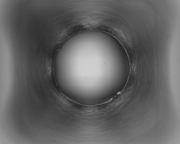 X0000111241012200907021407