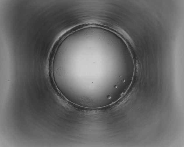 X0000111241020200907021407