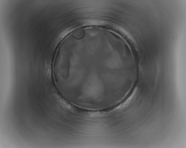 X0000111241025200907021407