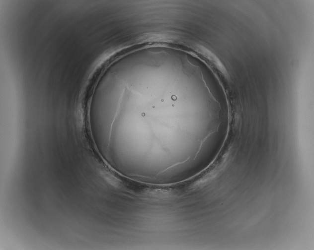 X0000111241027200907021407