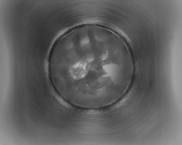 X0000111241029200907021407