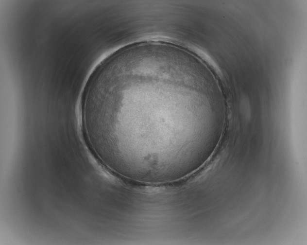 X0000111241032200907021407