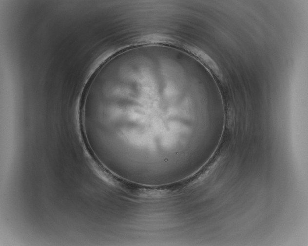 X0000111241039200907021407