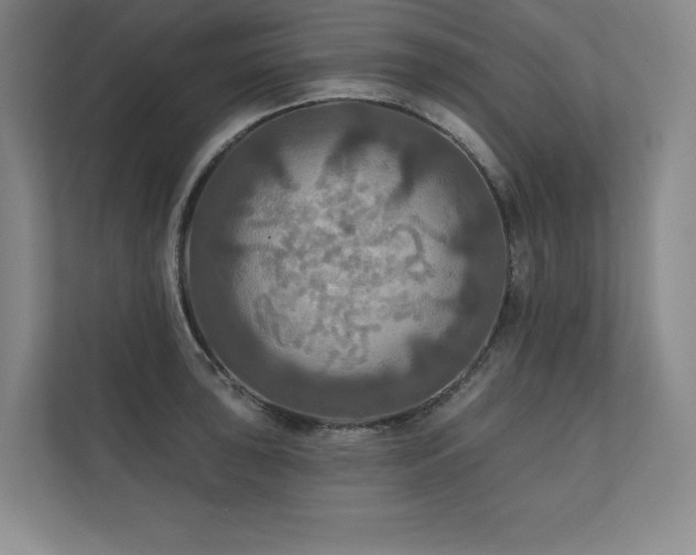 X0000111241043200907021407