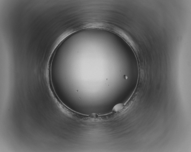 X0000111241050200907021407