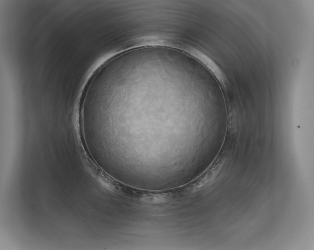 X0000111241051200907021407