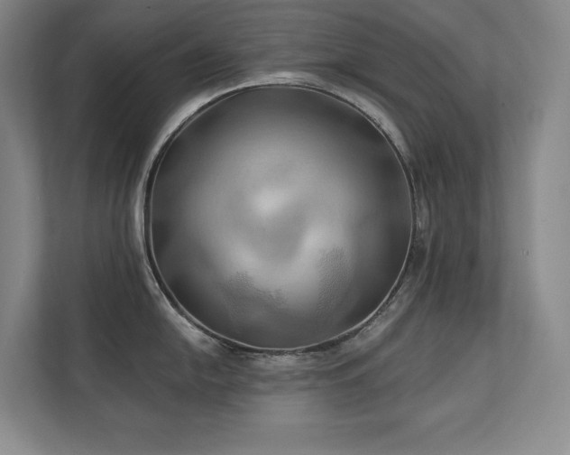 X0000111241054200907021407