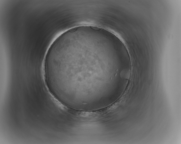 X0000111241056200907021407