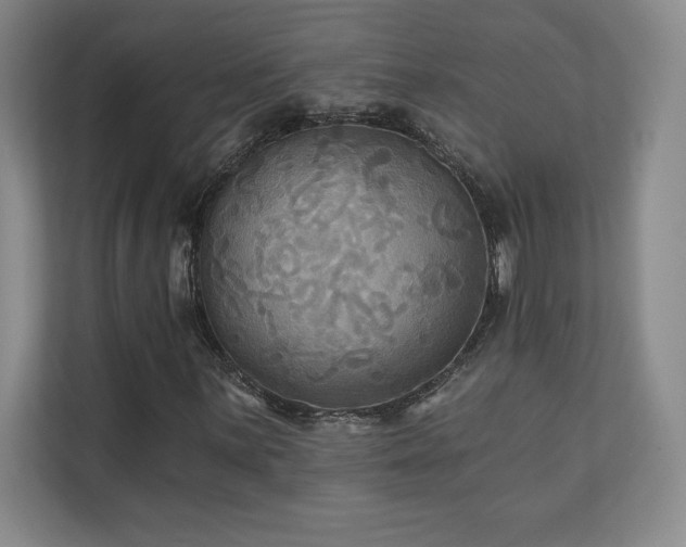 X0000111241059200907021407