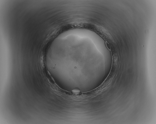 X0000111241060200907021407
