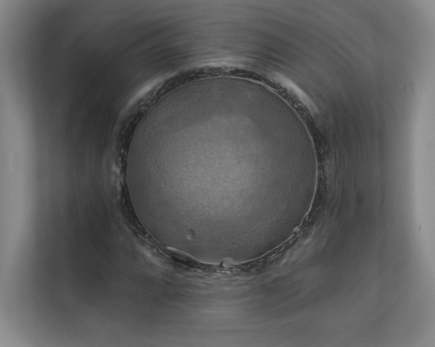 X0000111241064200907021406