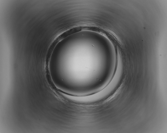 X0000111241065200907021406