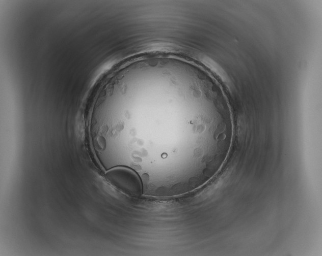 X0000111241067200907021406