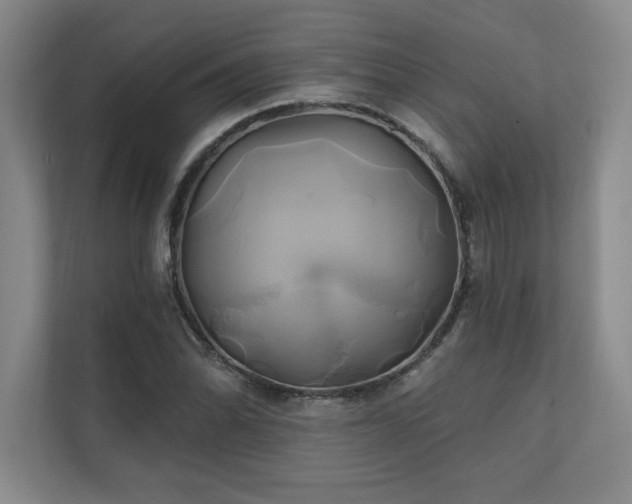 X0000111241070200907021406