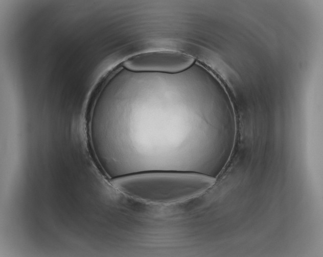 X0000111241072200907021406