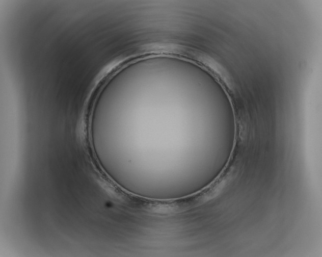 X0000111241074200907021406