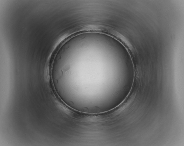 X0000111241075200907021406