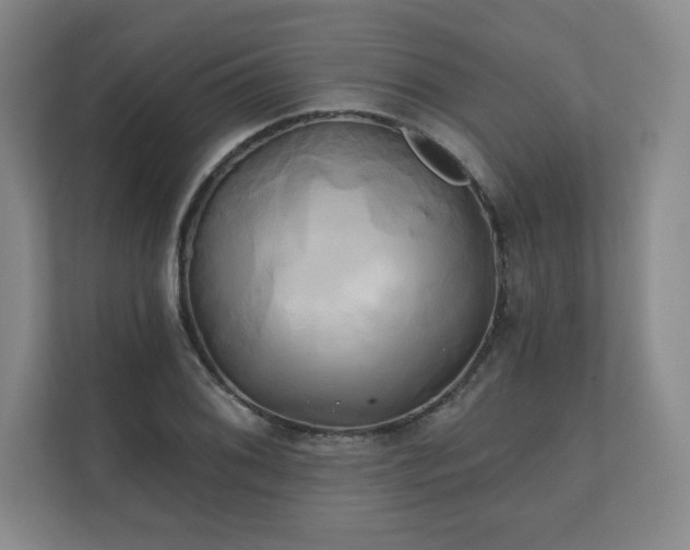 X0000111241076200907021406