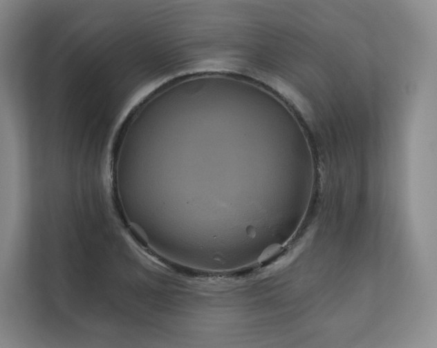 X0000111241077200907021406