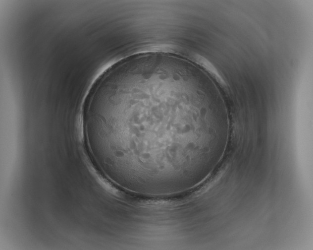 X0000111241079200907021406