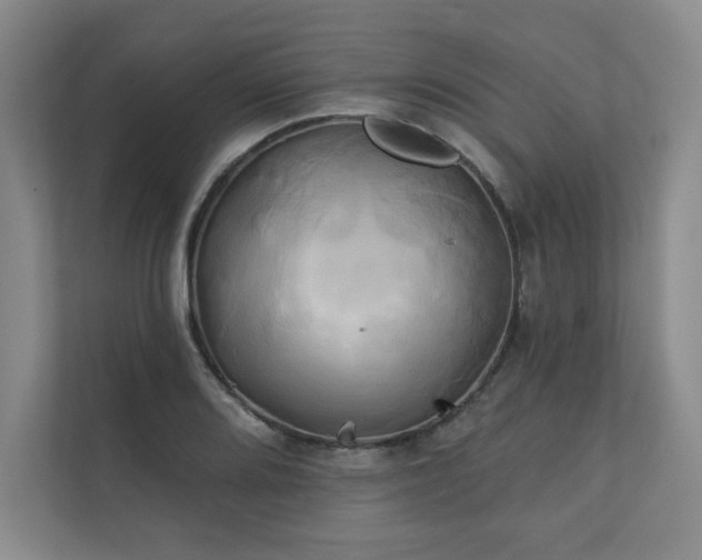 X0000111241080200907021406