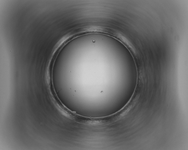X0000111241082200907021406