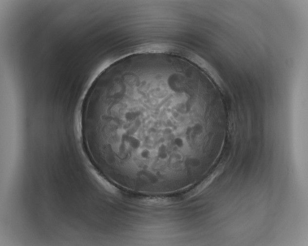 X0000111241083200907021406