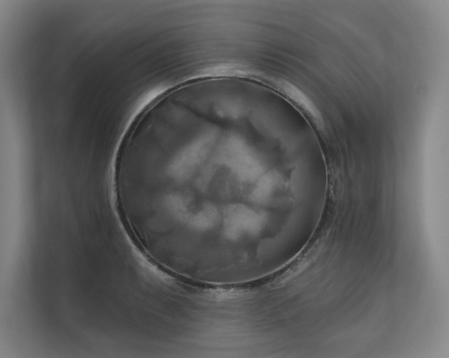 X0000111241087200907021406