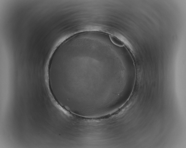 X0000111241088200907021406