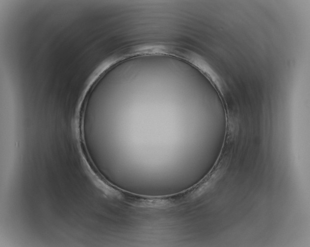 X0000111241090200907021406