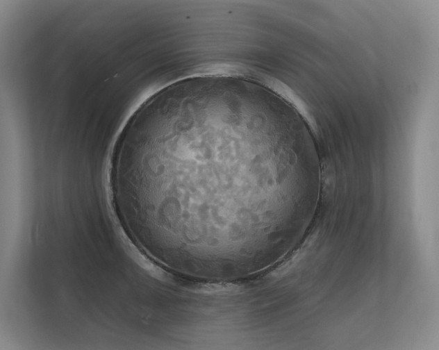 X0000111241091200907021406