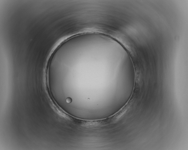 X0000111241094200907021406