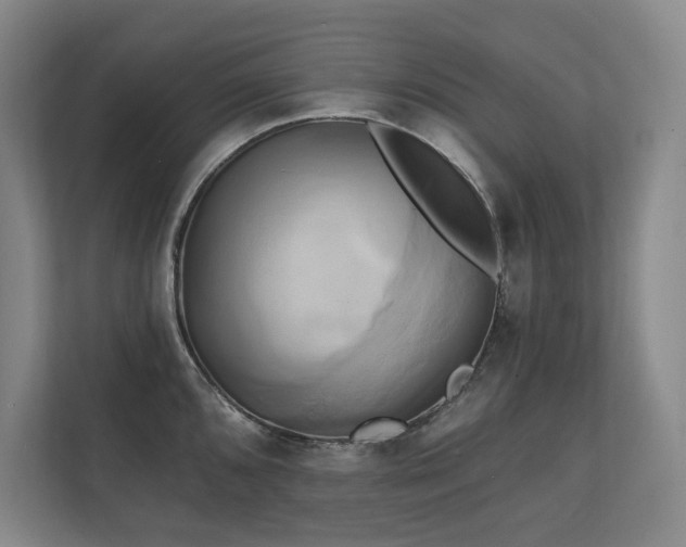 X0000111241096200907021406