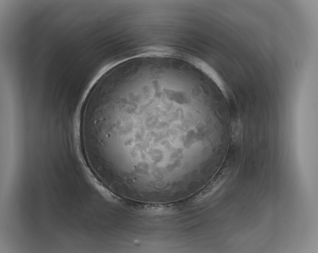 X0000111241099200907021406