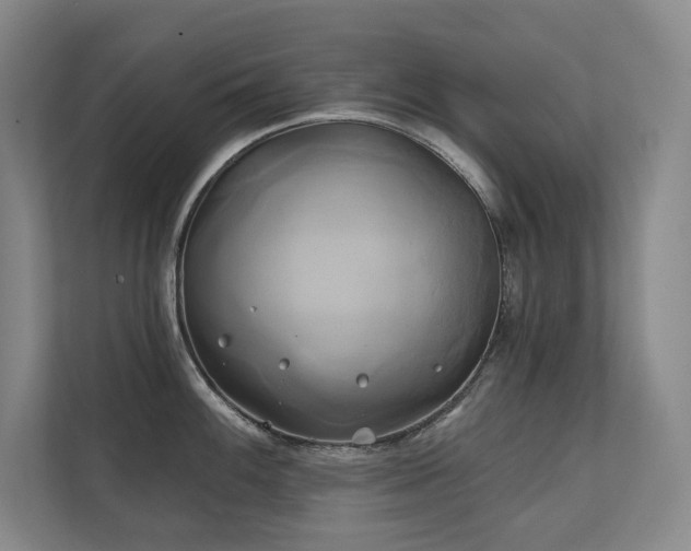X0000111241100200907021406