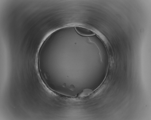 X0000111241102200907021406