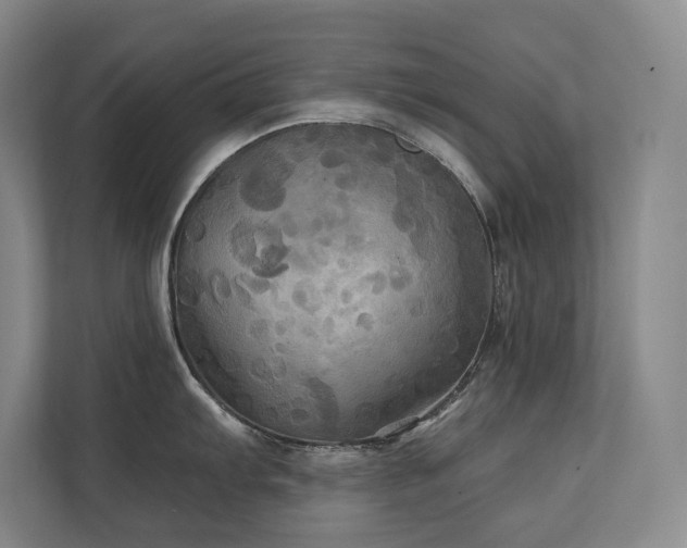 X0000111241103200907021406